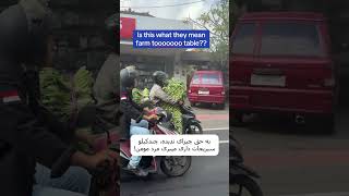 این موتوره یا مزرعه؟
