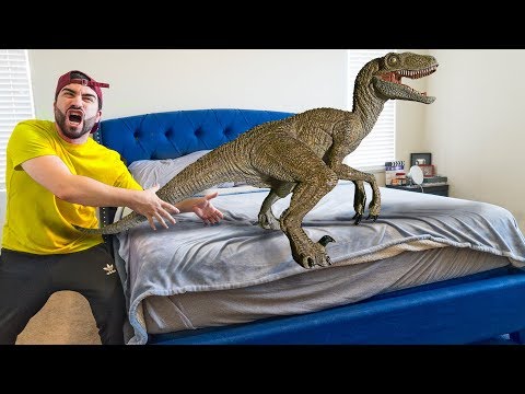 DINOSAURS Came into my HOUSE!