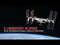 Research and Discoveries on the ISS