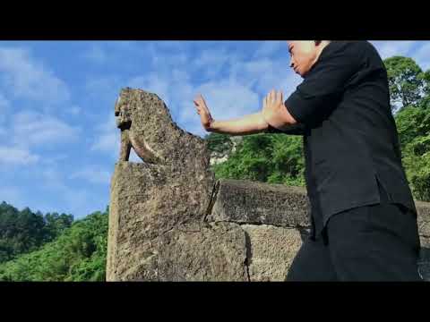 Wing Chun is Chinese kungfu, if you wang learn, you can follow.