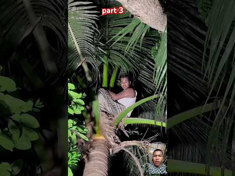 #timelapse🤣😂start to finish alone build log cabin (wooden house), how to build wooden cabin surviva