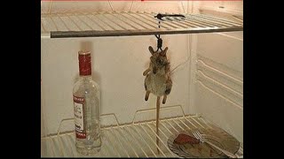 Я ищу людей там, где нет...