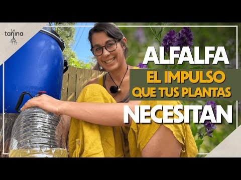 Aumenta tus cosechas con Extracto Fermentado de Alfalfa🌿