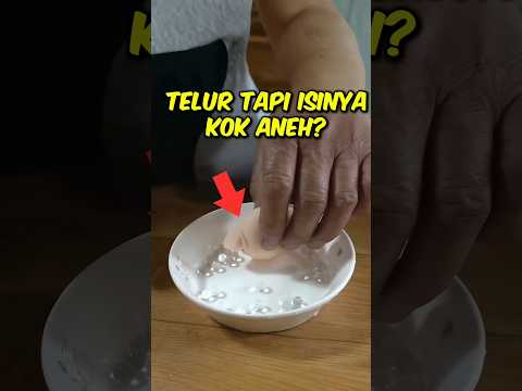 Telur Ayam Ini Isinya Aneh‼️ #kisahmenarik