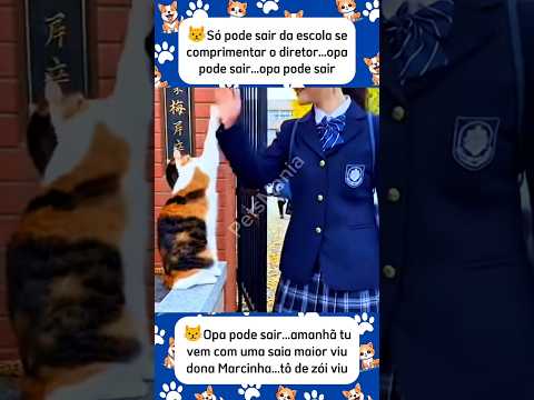 GATO ENGRAÇADO - DIRETOR DE ESCOLA #shorts #viralshorts #memes #pets