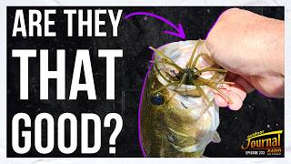 Do Fishing Lures Actually Need to Look Real?