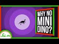 Tiny Dinosaurs and Their Footprints