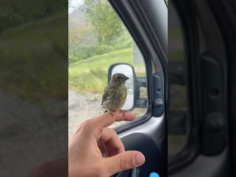 Lo encontré en el suelo… y no pude ignorarlo