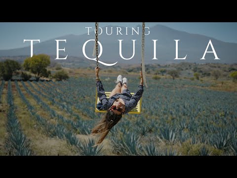 WE WENT TO TEQUILA!! Everything you need to know before you visit!