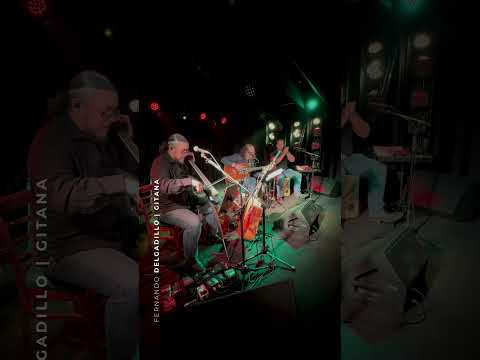 Gitana - Fernando Delgadillo