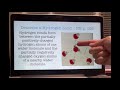 Chemical Bonds and Molecular Properties