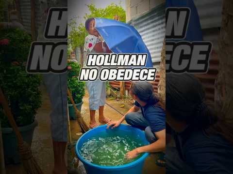 Hollman no obedece