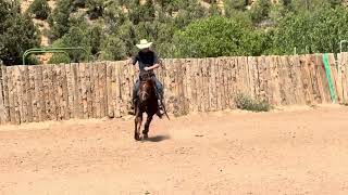 Metallic cat colt 9/2025