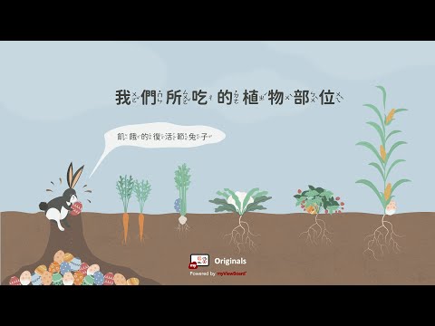  認識我們所吃的植物部位 - YouTube(2:21)