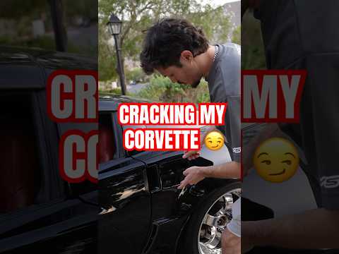 Corvette Chiropractor Session 🤨