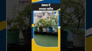 Shorts: Ambala में हो रही लगातार बारिश से लोगों के हाल बेहाल | Monsson 2025 | Haryana News