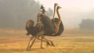 Compare the Meerkat - Coronation Street Advert 115