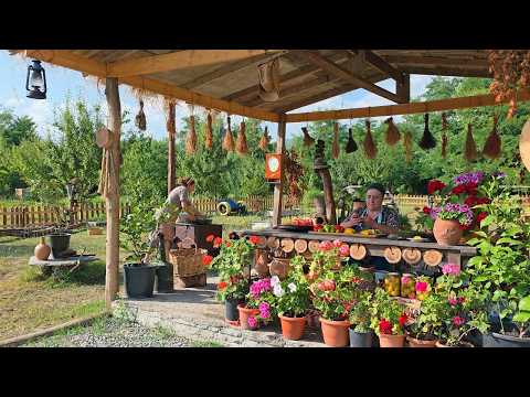 A Village Scene from Heaven – Raspberry Bowls, Blooming Colors & Peaceful Living 🍓🍒