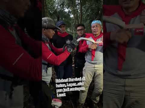 edukasi Survival di hutan, apapun  bisa jadi santapan lezat #herugundul #viral #snake  #shorts