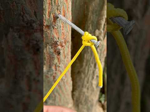 A Great Practical Knot