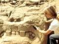 Anthropology and Archaeology Concepts