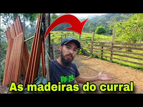 OQUE ACONTECEU !!! sobre a Construção do curral e as madeiras