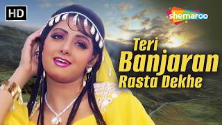 Teri Banjaran Rasta Dekhe | Banjaran (1991) | Rishi Kapoor, Sridevi | Alka Yagnik Hit Song