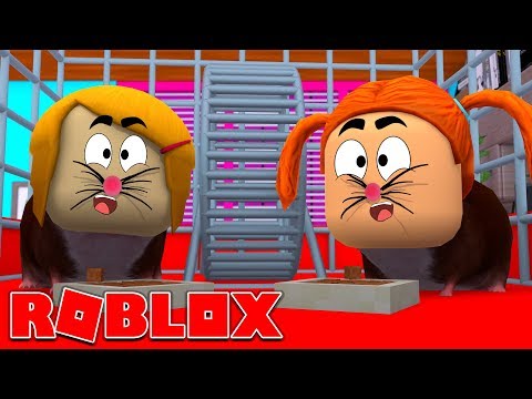 Roblox | We Turn Into Guinea Pigs!