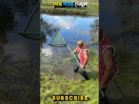 বাড়ির পাশের খালে মাছ ধরতে এলাম! #fishing #fishingshorts #shorts
