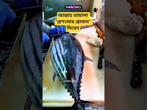 āĻāϞā§āϞāĻžāĻš āϤāĻžā§āĻžāϞāĻž "āĻĒā§āϰāĻļāĻāϏāĻžāϰ āĻĒā§āϰāĻžāϏāĻžāĻĻ" āĻĻāĻŋāĻŦā§āύâŧī¸ #trending #reels #facts #shorts #shortvideo #youtube #viral