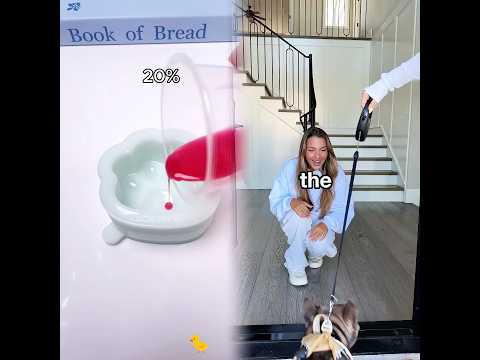 Por favor comparte con tus amigos #pov #herramientas #sketch #gracioso #actuación #historia