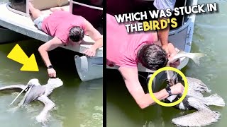 Kind man saves choking bird stuck with a fish😱