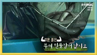 기운 불끈 부여 민물장어 납시오 다시보기