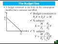 Consumer Choice Theory Concepts