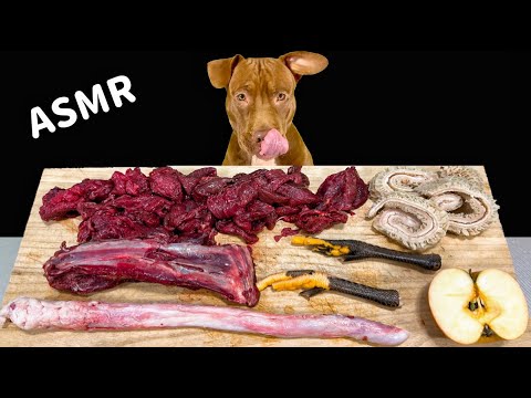 ASMR MUKBANG PITBULL EATING RAW FOODS