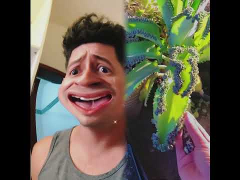 #fyp #foryou #pov #music #funnyvideo #foryoupage