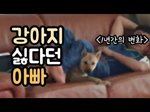 강아지 싫다던 아빠의 1년간의 변화