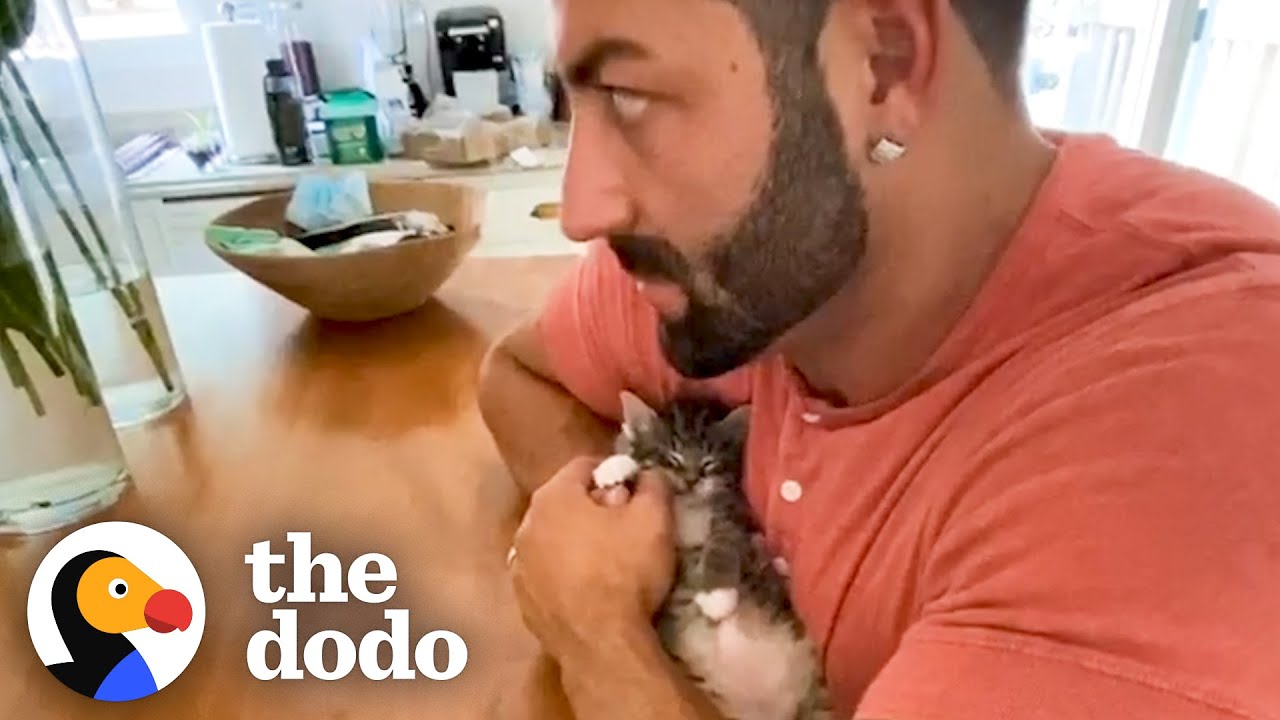 Phone-Sized Kitten Turns Guy Into A Cat Person Little But Fierce