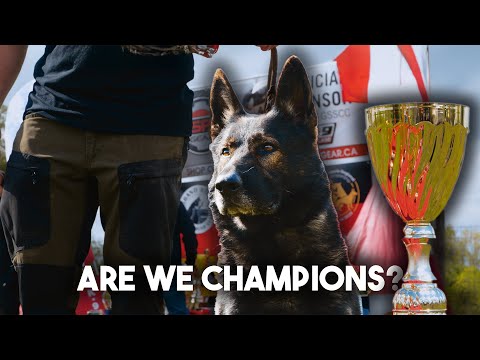 Do or die! - DOG SPORT Episode 4