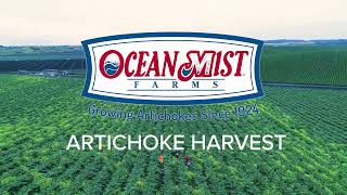 Ocean Mist Farms Artichoke Harvest thumbnail