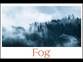 Understanding Fog