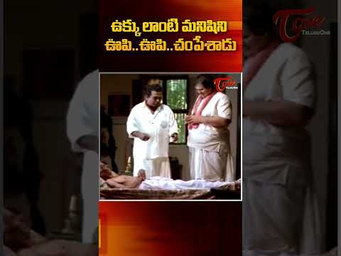 ఉక్కు లాంటి మనిషిని..? Brahmanandam Best Comedy Scene | Navvula Tv #shorts #ytshorts #shortvideo