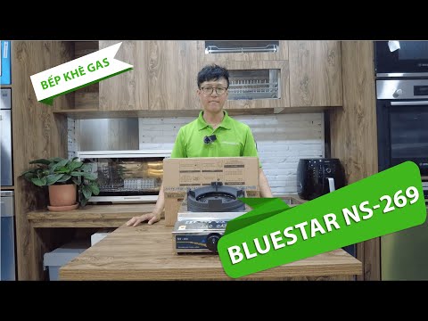 Bếp khè gia đình Bluestar NS-269SKG