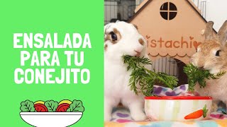 ENSALADA PARA CONEJOS : mix de vegetales para conejito mascota 🐰🥬 ~ Pistachio y Baby Mochi