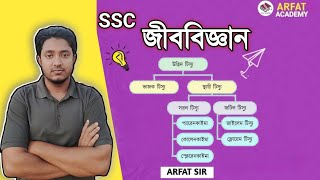 ৯ম-১০ম শ্রেণি জীববিজ্ঞান ২য় অধ্যায় জীবকোষ ও টিস্যু | জটিল টিস্যু | জাইলেম টিস্যু ও ফ্লোয়েম টিস্যু