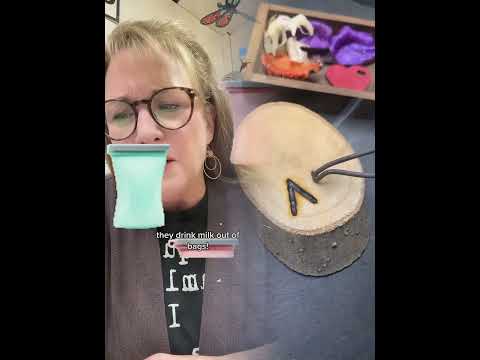 #funnyteacher