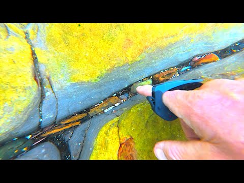 FOUND Gold Rings, Chain & Money in POPULAR Swim Hole
