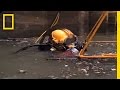 Mexico City Sewers: Challenges and Heroes