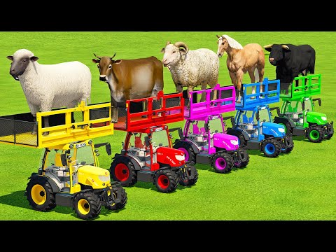 TRANSPORTING SHEEPS, CARS, HORSES, BULLS, COWS, RAMS, DACIA POLICE WITH MAN TRUCKS - FS22