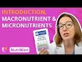 Nutrition Essentials: Vitamins and Minerals